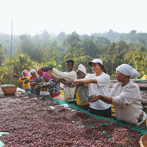 Ethiopia, Yirgacheffe